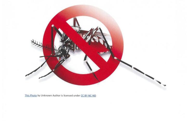 ticks