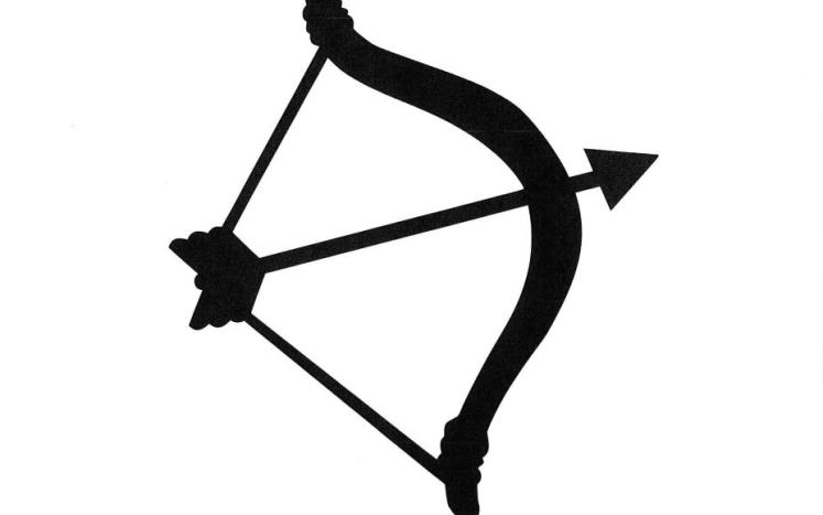 bow pic