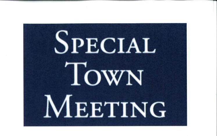 Special Town Meeting Informational Sheet